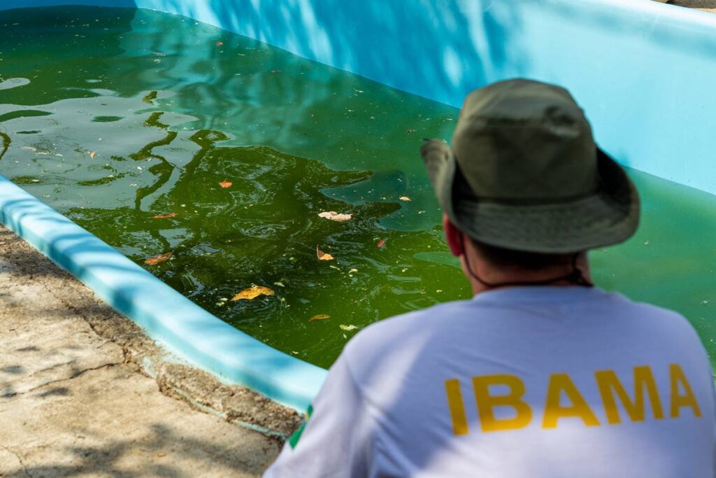 Ibama Abre Edital Para Vagas Em Todo O Pa S Jornal O Mossoroense